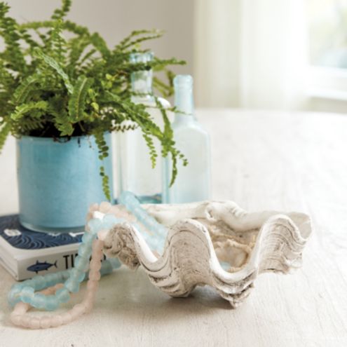 clam shell decor