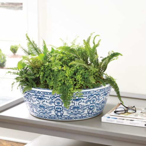 ANNIE BLAUWPOT TENCATE（アン ブラウポット テン カーテ） Antique