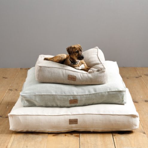 dog bed designs