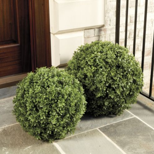 Faux Boxwood Planter Filler 18.5 - Ballard Designs - Yahoo Shopping