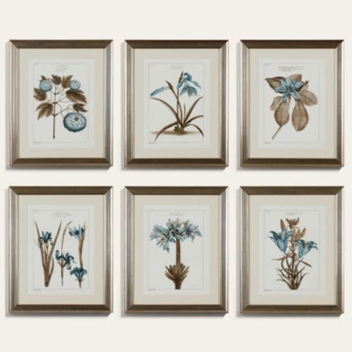 Buchoz Botanical Blue Art | Ballard Designs