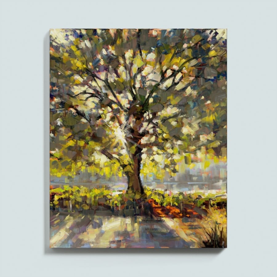 Summer Oaks