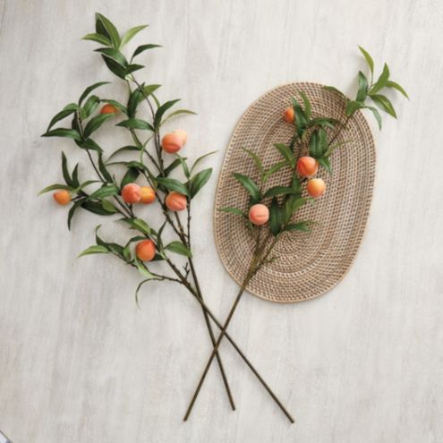 Peach Stems - Set of 3