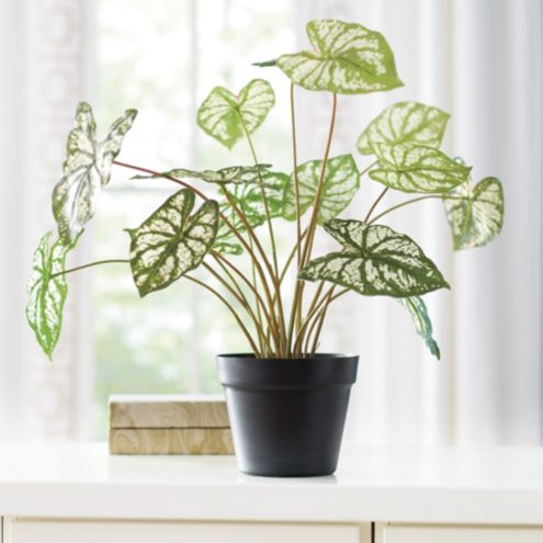 Faux Potted Dasheen Leaf