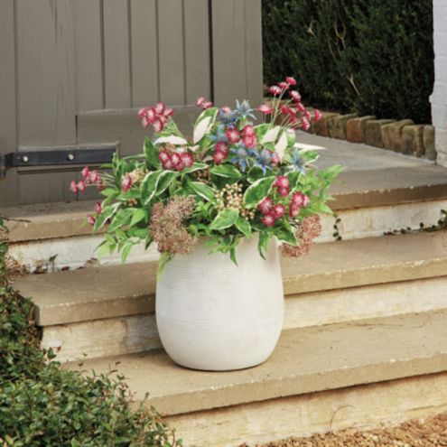 Wildflower Planter Filler