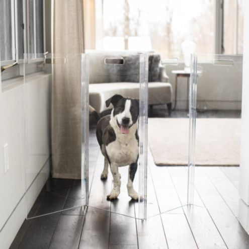 Plexiglass dog outlet gate