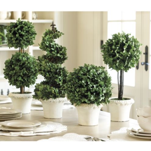 Boxwood Topiaries | Ballard Designs