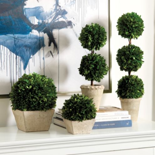 boxwood topiary