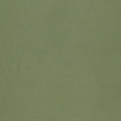 Callen Green InsideOut Performance Fabric by the Yard
