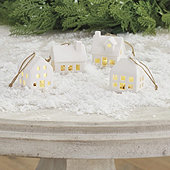 Winter House Ornaments