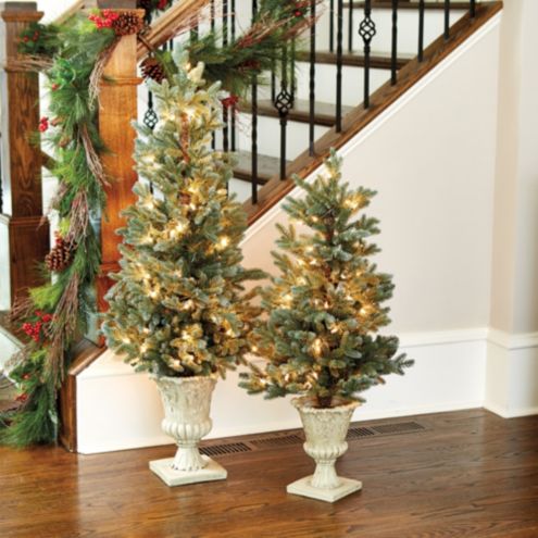 Potted Colorado Blue Spruce Tree | Ballard Designs