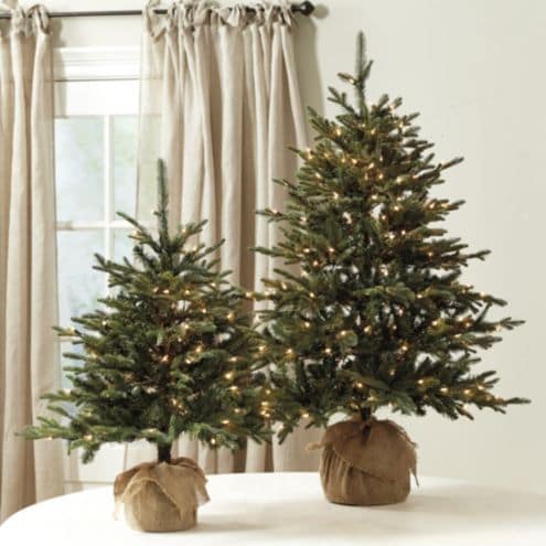 SK Fraser Fir Tabletop Tree with Pre lit Branches & Burlap Base