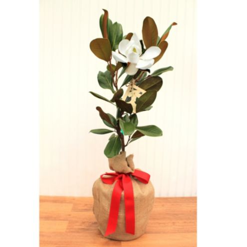 Magnolia Blossom Planter Filler - Ballard Designs
