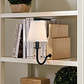 Ivy Bookshelf Light