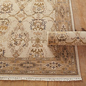 Dansby Hand Knotted Rug