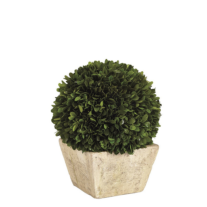 Image of Faux Boxwood Topiary