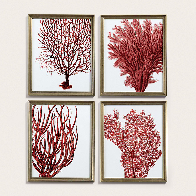 Petite Red Coral Art | Ballard Designs