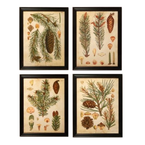 Pinecone and Conifer Framed Art | Ballard Designs