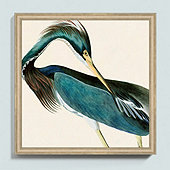 Sea Heron Framed Print