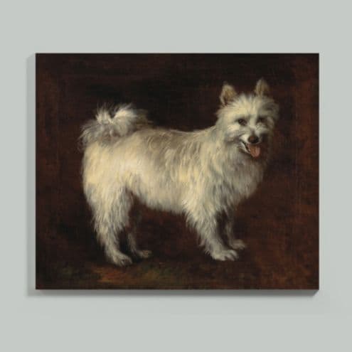 Antique White Dog Art | Ballard Designs