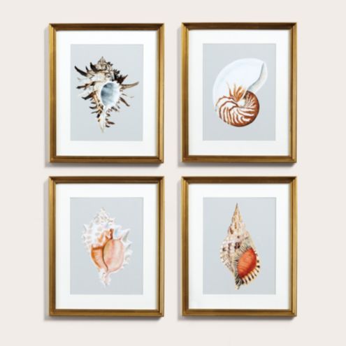 Petite Seashell Art | Ballard Designs