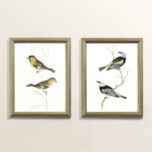 Petite Two Birds Art | Ballard Designs