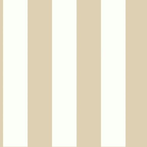 Canopy Stripe Wallpaper Double Roll | Ballard Designs