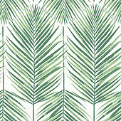 Oasis Palm Wallpaper