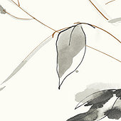 Tilia Leaves Wallpaper