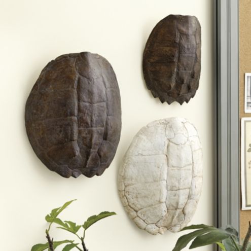 Turtle Shell Plaque Ballard Designs