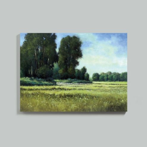 Summer Pasture Stretched Canvas | Ballard Designs