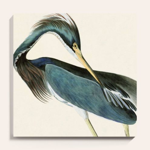 DiaNocheDesigns Heron Framed On Canvas by Brazen Design Studio Painting