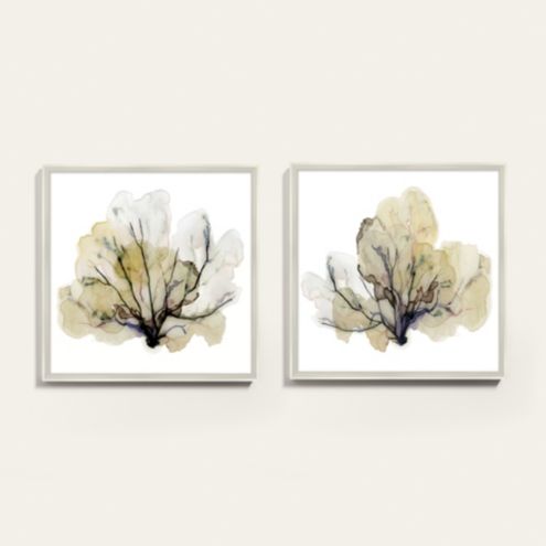 Oceans Flower Framed Abstract Art Print