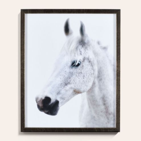 Majestic Horse Framed Photo Wall Art