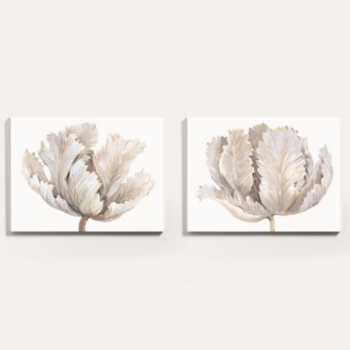 Delicate Tulips Art