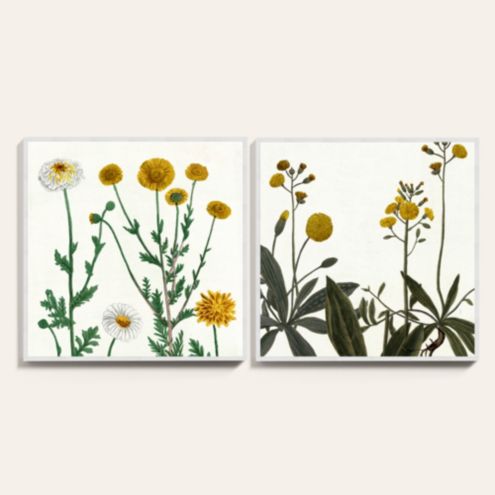 Marigold & Dandelion Bunch Art