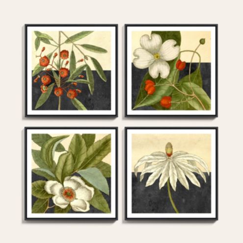 Botanical Series Art